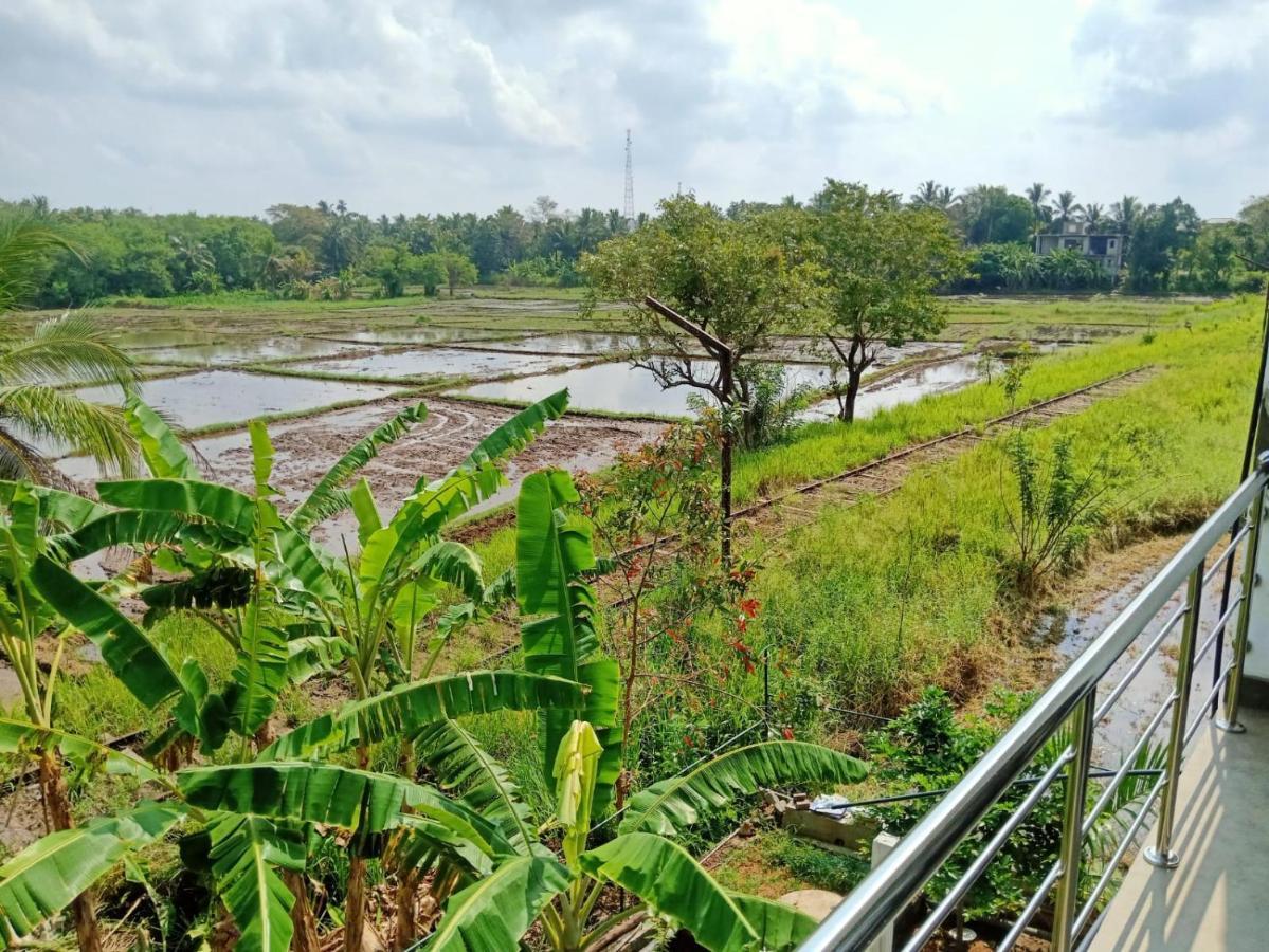 Freedom Of Green Rice View อนุราธปุระ ภายนอก รูปภาพ