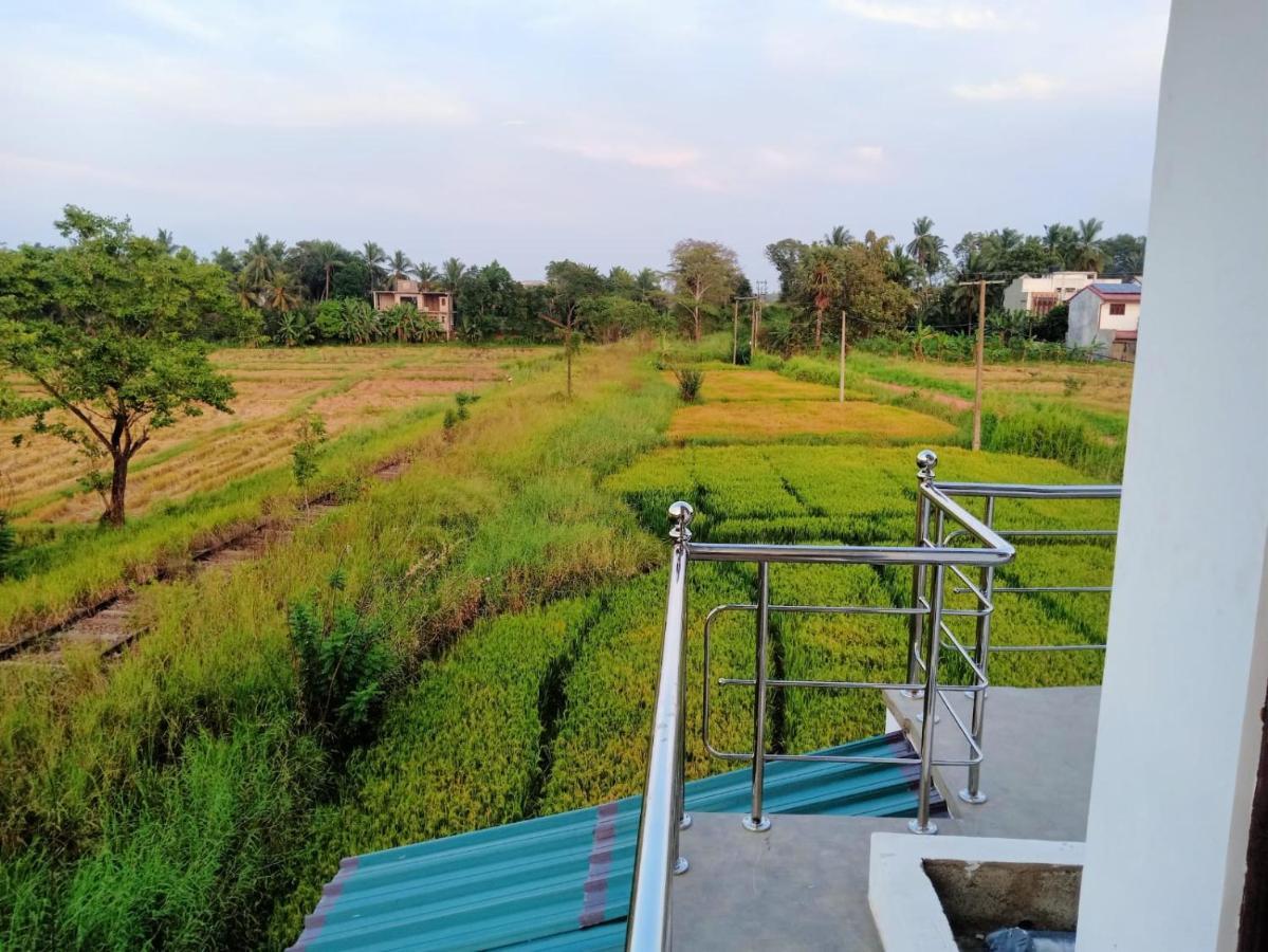 Freedom Of Green Rice View อนุราธปุระ ภายนอก รูปภาพ