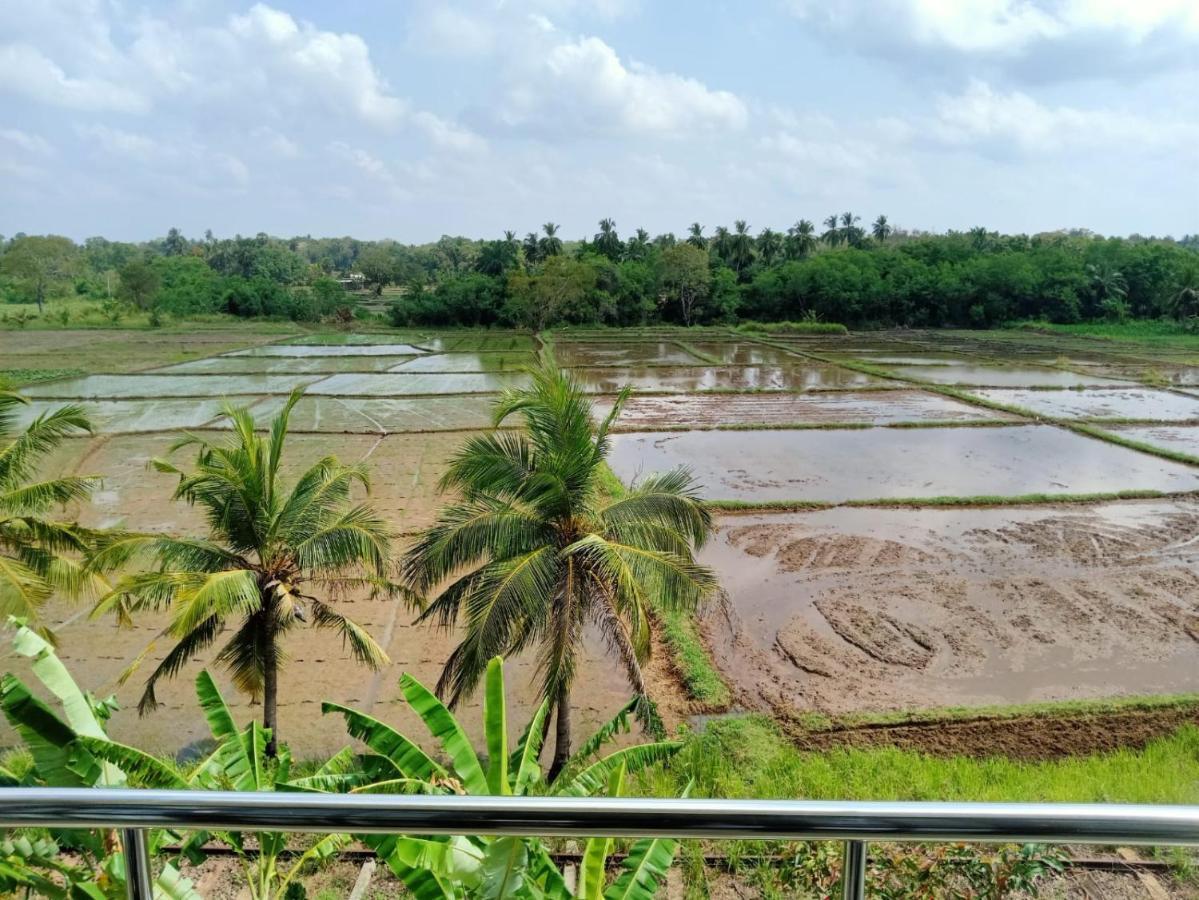 Freedom Of Green Rice View อนุราธปุระ ภายนอก รูปภาพ