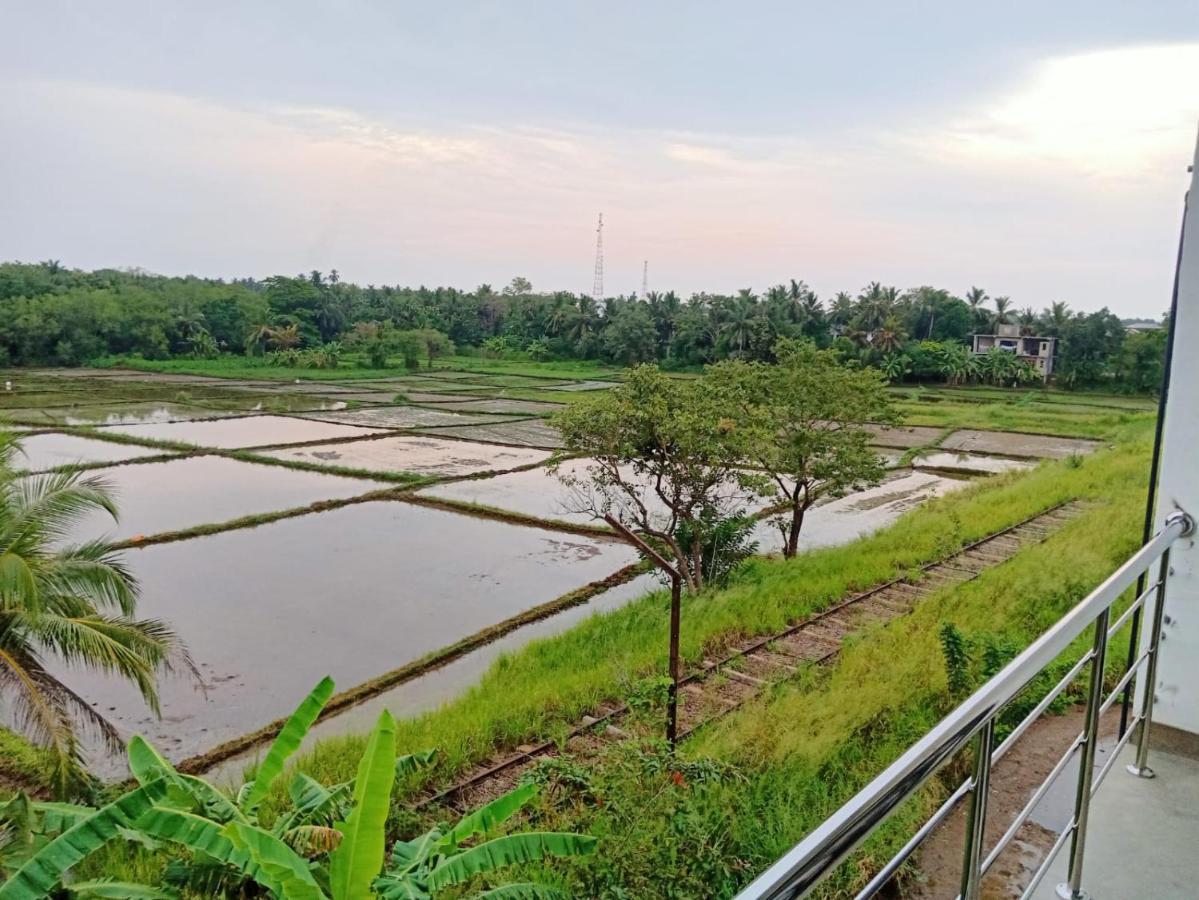Freedom Of Green Rice View อนุราธปุระ ภายนอก รูปภาพ